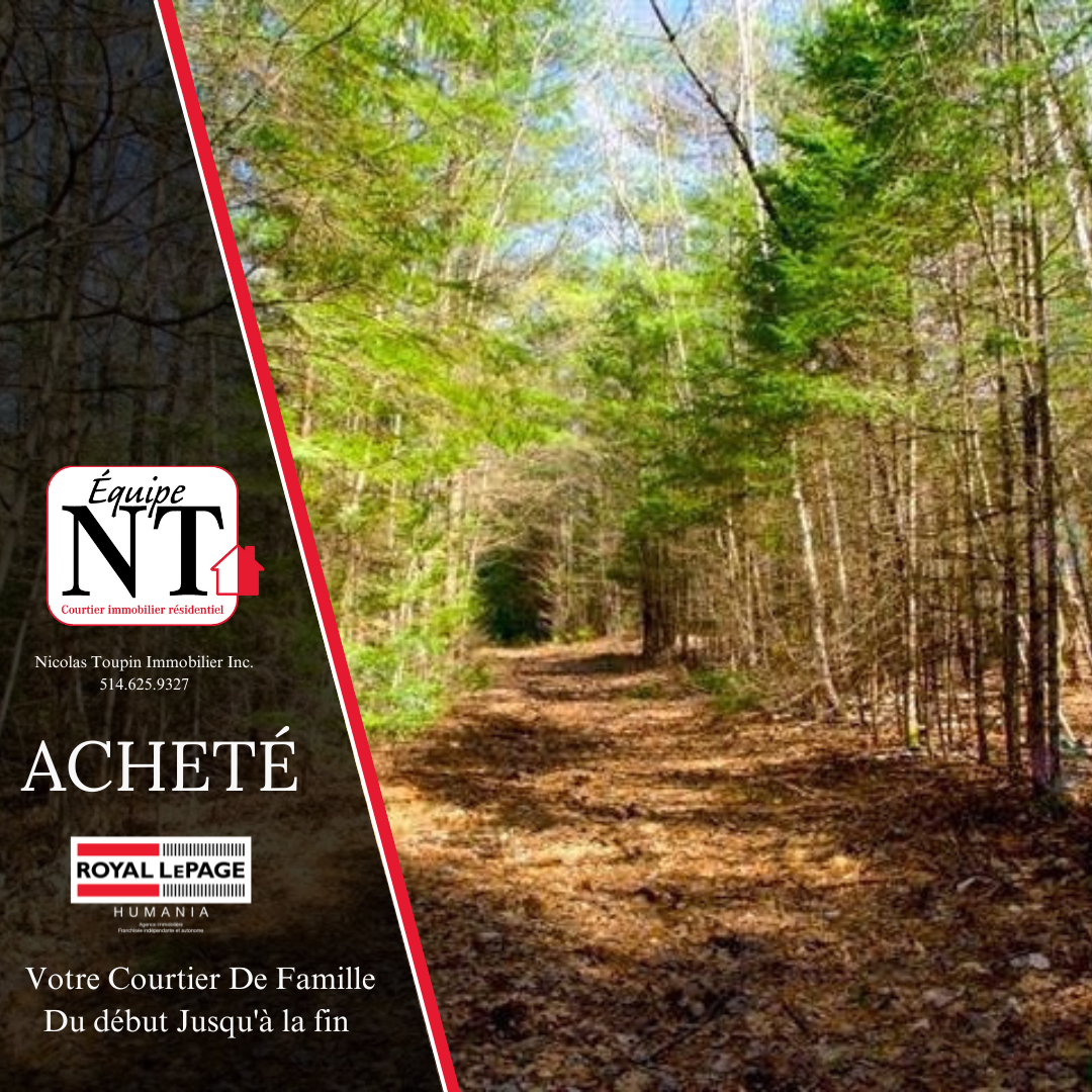 Terrain achetée